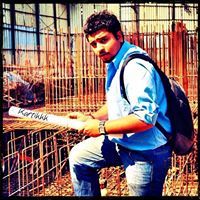 Kartik Sachdev