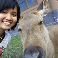 กิ๊ก เฉยๆ