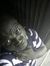 Abdulwa...