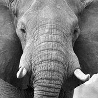 melinda bindas Bindas