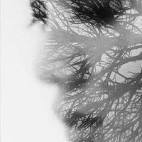 Shaimaa Ahmed
