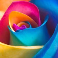 Jennifer Davis-basham