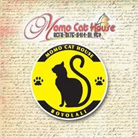 Momo Cat