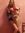 Doina S...