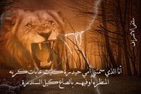 حيدر الهاشمي