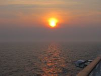 Lisa Leonelli-roberto