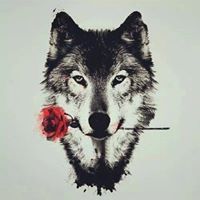 Omar Waleed