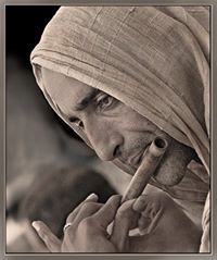 پرهام شاملو