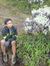 Bintang...
