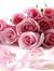 Nahid A...