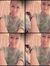 Jessamy...