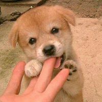 Aiswarya Srikrishnan