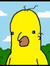 lachlan 