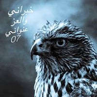 علي الخبراني