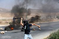 كرم عبد الفتاح