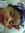 Yanna A...