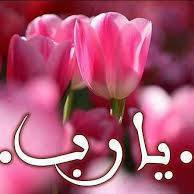 Rawda El shokery