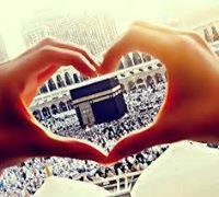 طائر الاحلام