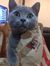 Wendy R...