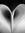 Hali Campbell | 21 comments