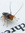 Booklouse