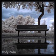 حسن ال حجري