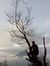 Aryadil...