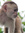 Jason Bullman | 2 comments