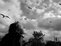 فراس الحمارنه