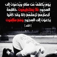 Waleed Mohamed