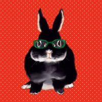 Jiranan Termkhajornkit