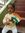 Divya G...
