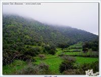 بدر قاعد
