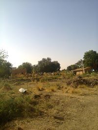 مزمل مصطفى عتيق
