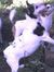 Lynne W...
