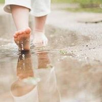 احمد القاضي