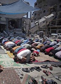 زهرة البنفسج