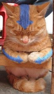 রাইসুল রাজন