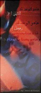 تسنيم برناوي