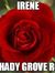 Irene Rose