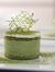 Matcha ...