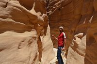Mostafa Shokry