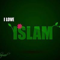 عماد الهندي