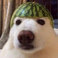 Богдан Секулић