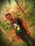 Jithin Kj
