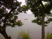 رياض المناور