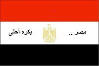 عصام الغرباوي