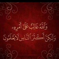 عمار بن ياسر