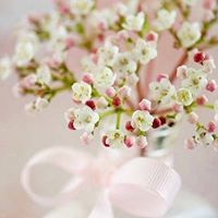 مروان الجهني