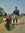 Arvind ...